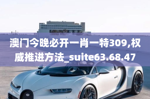 澳门今晚必开一肖一特309,权威推进方法_suite63.68.47