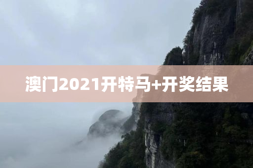 澳门2021开特马+开奖结果