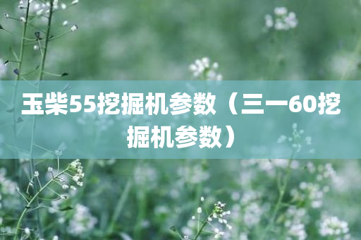 玉柴55挖掘机参数（三一60挖掘机参数）