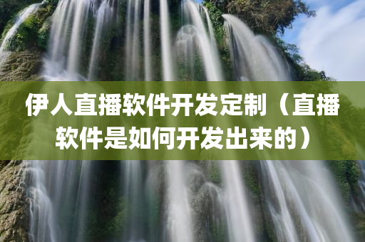 伊人直播软件开发定制（直播软件是如何开发出来的）