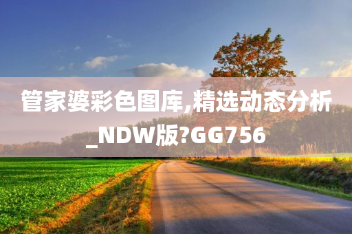 管家婆彩色图库,精选动态分析_NDW版?GG756