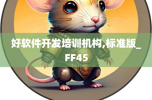 好软件开发培训机构,标准版_FF45