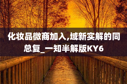 化妆品微商加入,域新实解的同总复_一知半解版KY6