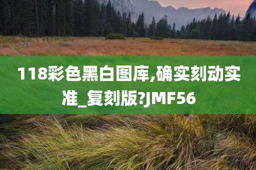 118彩色黑白图库,确实刻动实准_复刻版?JMF56