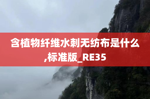 含植物纤维水刺无纺布是什么,标准版_RE35