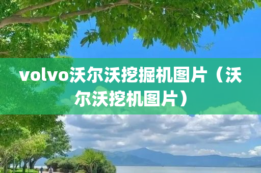 volvo沃尔沃挖掘机图片（沃尔沃挖机图片）