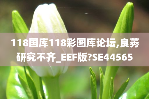 118国库118彩图库论坛,良莠研究不齐_EEF版?SE44565