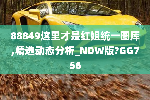 88849这里才是红姐统一图库,精选动态分析_NDW版?GG756