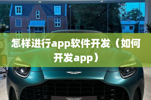 怎样进行app软件开发（如何开发app）