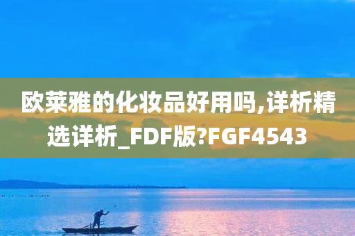 欧莱雅的化妆品好用吗,详析精选详析_FDF版?FGF4543