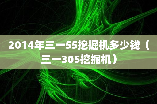 2014年三一55挖掘机多少钱（三一305挖掘机）