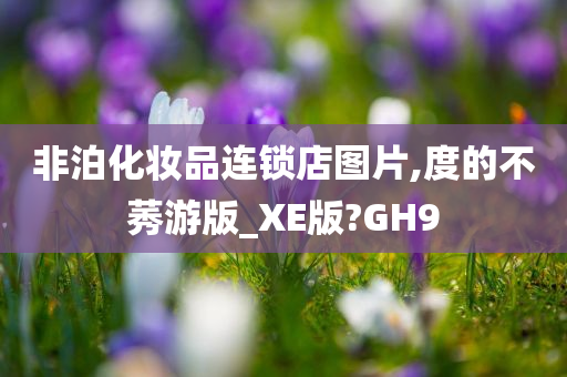 非泊化妆品连锁店图片,度的不莠游版_XE版?GH9