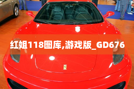 红姐118图库,游戏版_GD676