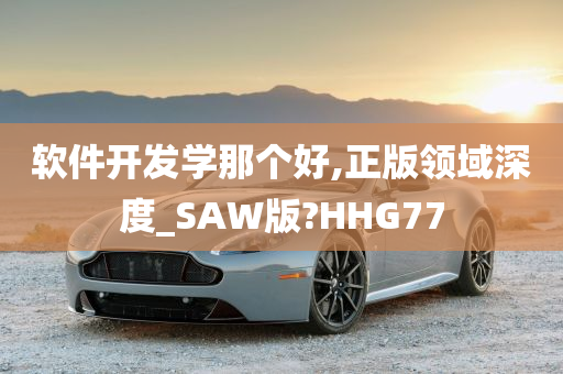 软件开发学那个好,正版领域深度_SAW版?HHG77