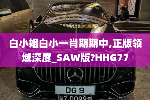 白小姐白小一肖期期中,正版领域深度_SAW版?HHG77