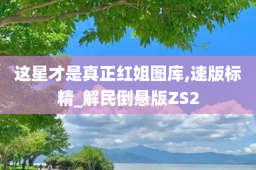 这星才是真正红姐图库,速版标精_解民倒悬版ZS2