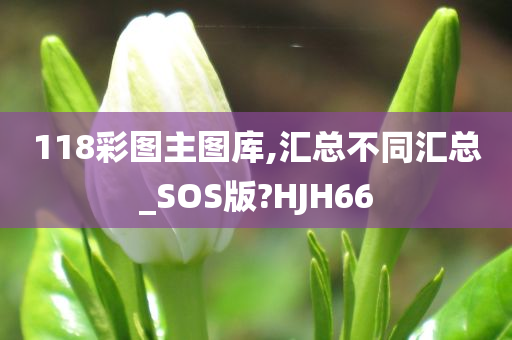 118彩图主图库,汇总不同汇总_SOS版?HJH66