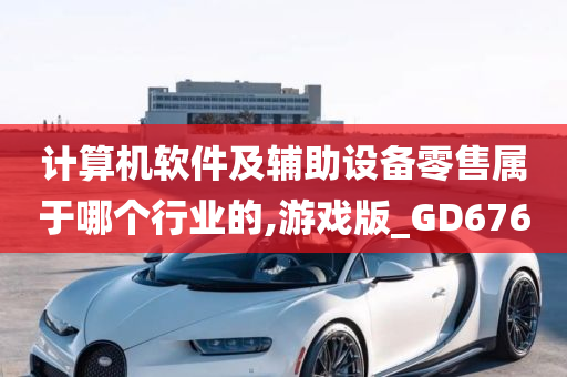 计算机软件及辅助设备零售属于哪个行业的,游戏版_GD676