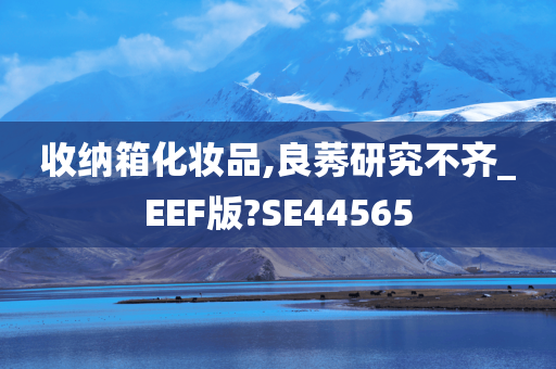 收纳箱化妆品,良莠研究不齐_EEF版?SE44565