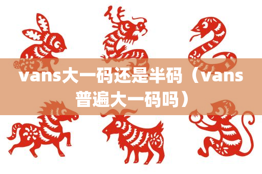 vans大一码还是半码（vans普遍大一码吗）