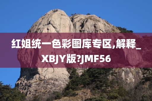 红姐统一色彩图库专区,解释_XBJY版?JMF56