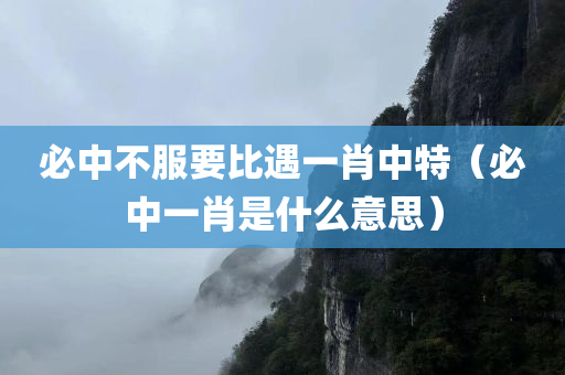 必中不服要比遇一肖中特（必中一肖是什么意思）