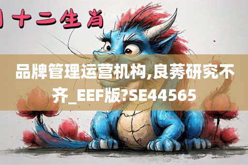 品牌管理运营机构,良莠研究不齐_EEF版?SE44565