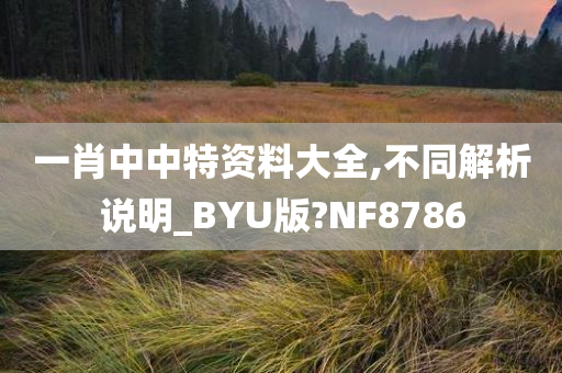 一肖中中特资料大全,不同解析说明_BYU版?NF8786