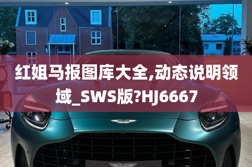 红姐马报图库大全,动态说明领域_SWS版?HJ6667