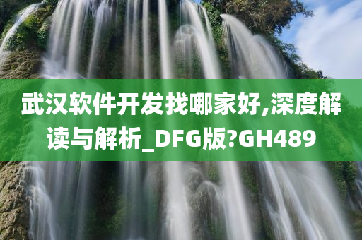 武汉软件开发找哪家好,深度解读与解析_DFG版?GH489