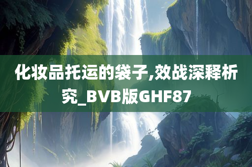 化妆品托运的袋子,效战深释析究_BVB版GHF87