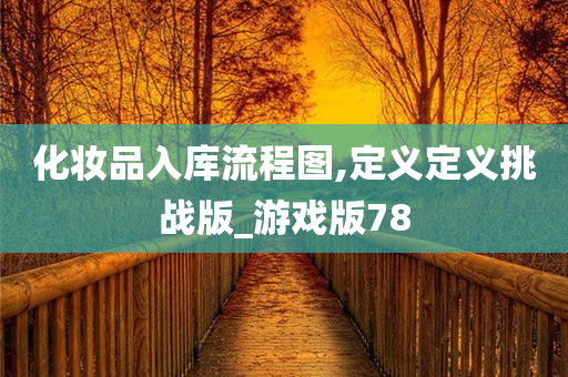 化妆品入库流程图,定义定义挑战版_游戏版78