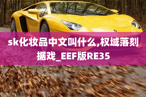 sk化妆品中文叫什么,权域落刻据戏_EEF版RE35