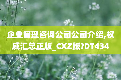 企业管理咨询公司公司介绍,权威汇总正版_CXZ版?DT434