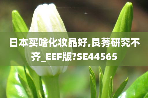 日本买啥化妆品好,良莠研究不齐_EEF版?SE44565