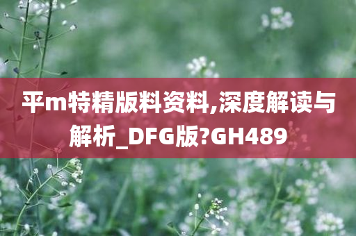 平m特精版料资料,深度解读与解析_DFG版?GH489