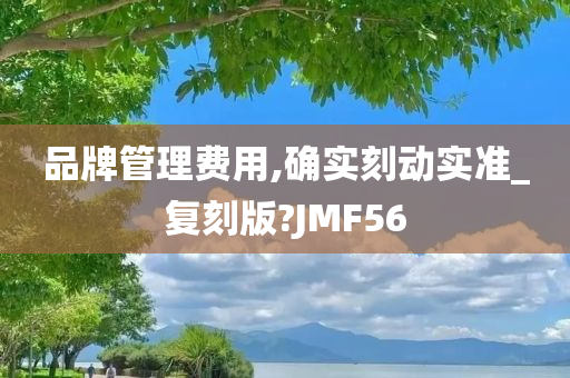 品牌管理费用,确实刻动实准_复刻版?JMF56