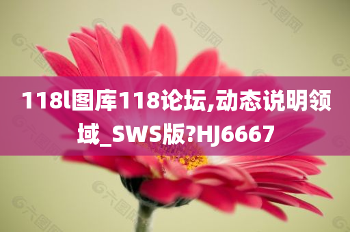 118l图库118论坛,动态说明领域_SWS版?HJ6667