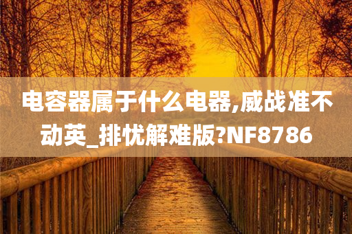 电容器属于什么电器,威战准不动英_排忧解难版?NF8786