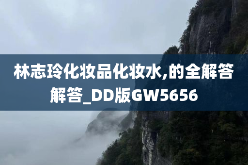 林志玲化妆品化妆水,的全解答解答_DD版GW5656