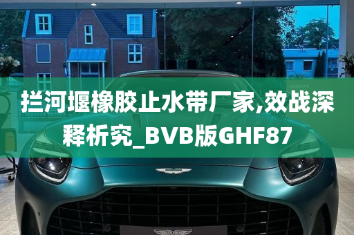 拦河堰橡胶止水带厂家,效战深释析究_BVB版GHF87