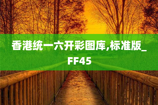 香港统一六开彩图库,标准版_FF45