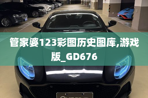 管家婆123彩图历史图库,游戏版_GD676