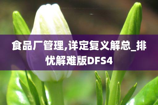 食品厂管理,详定复义解总_排忧解难版DFS4