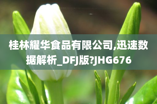 桂林耀华食品有限公司,迅速数据解析_DFJ版?JHG676