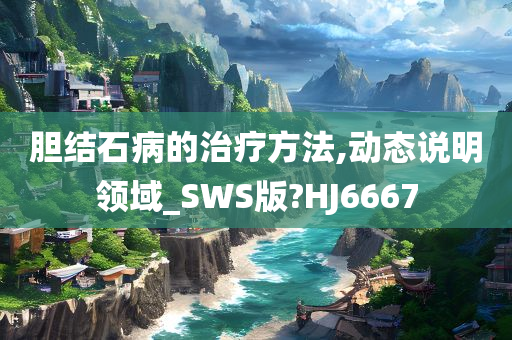 胆结石病的治疗方法,动态说明领域_SWS版?HJ6667