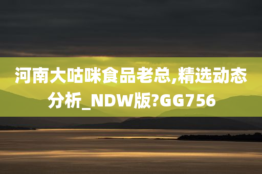 河南大咕咪食品老总,精选动态分析_NDW版?GG756