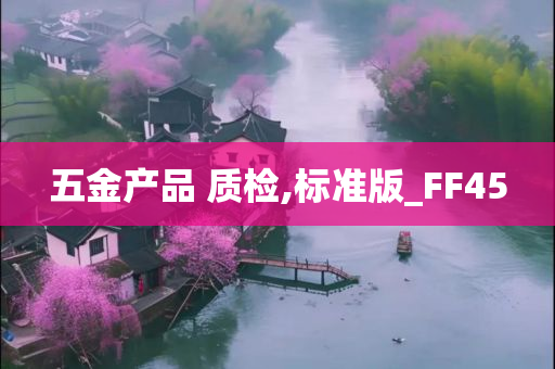 五金产品 质检,标准版_FF45