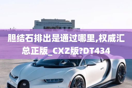 胆结石排出是通过哪里,权威汇总正版_CXZ版?DT434