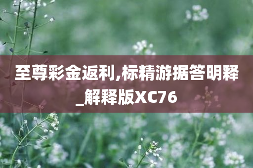 至尊彩金返利,标精游据答明释_解释版XC76